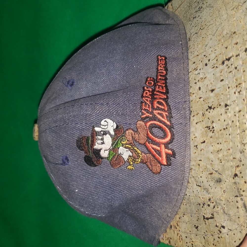 VTG Disney hat